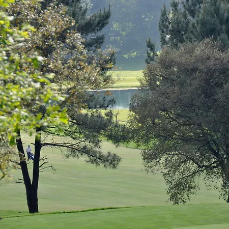 Axis Golf 3*